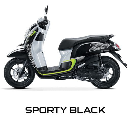 HONDA SCOOPY STYLISH