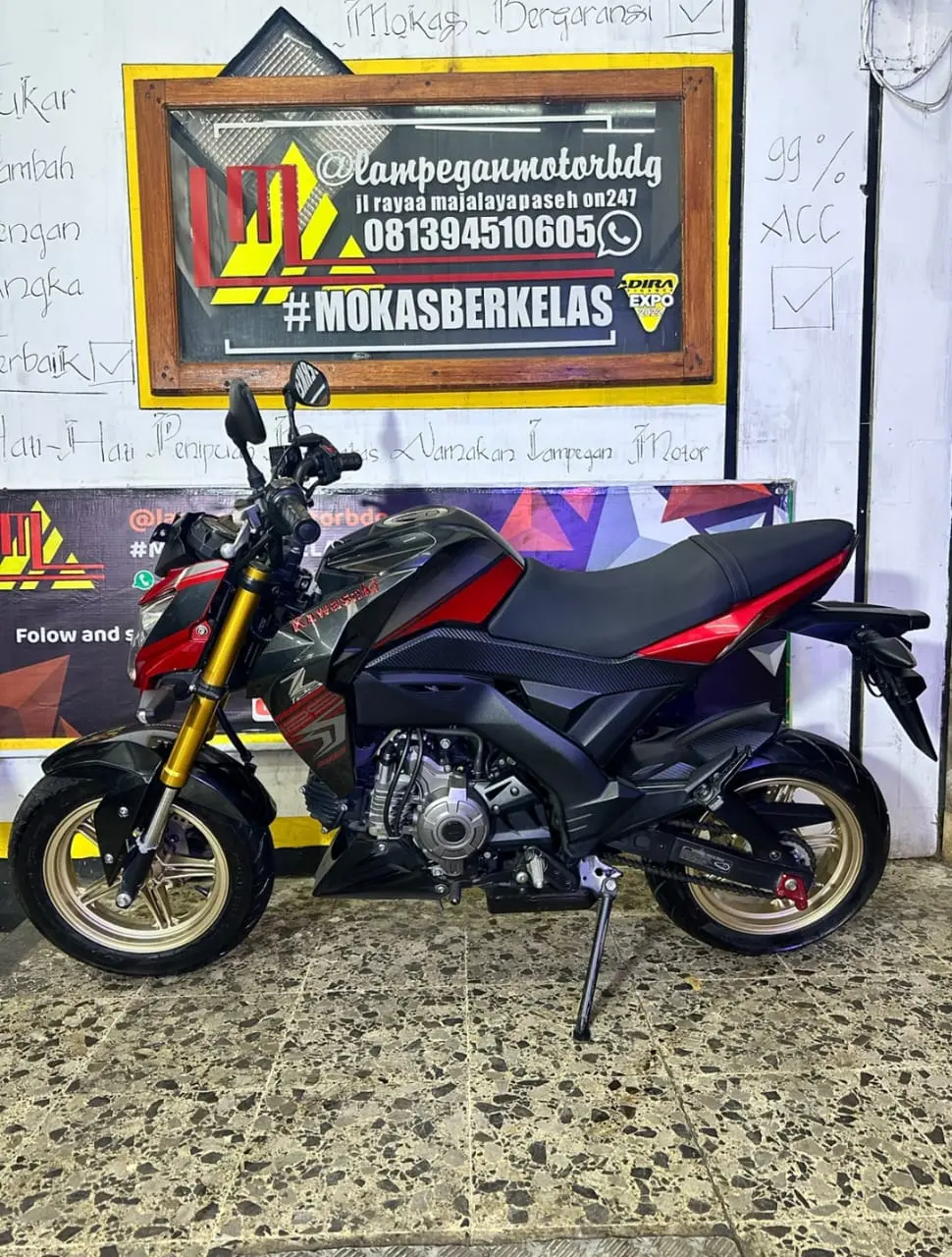 KAWASAKI Z 125 PRO - Gambar 3